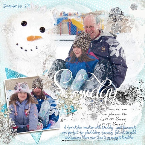 [Sleddingsingle1_1222112.jpg]