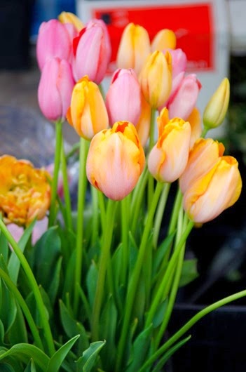 [A-day-in-Nice-541%255B1%255D.jpg]