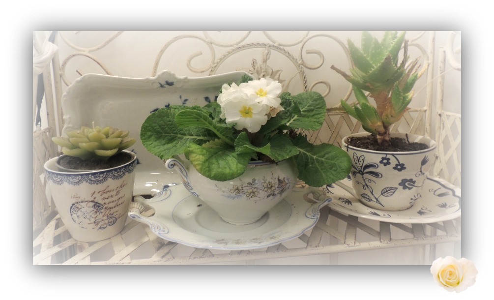 [DSCN0274%255B5%255D.jpg]