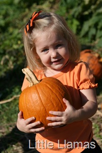 [IMG_0952%255B3%255D.jpg]