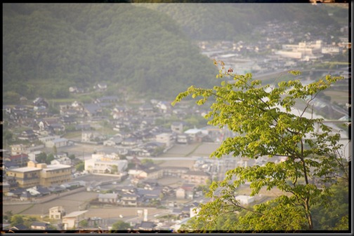 D700_2012-05-22_005 D700_2012-05-22_005
