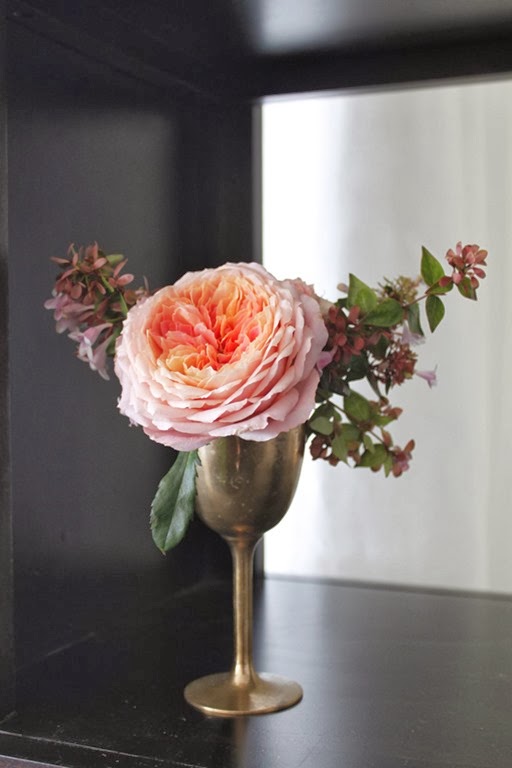 [variety-Romantic-Antike-rose-MG_5050%255B2%255D.jpg]