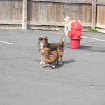 DSCN4926.jpg