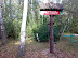 Promem z Tarchomina do Łomianek, Kampinos - rower g&oacute;rski