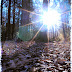 DSCN4351.JPG