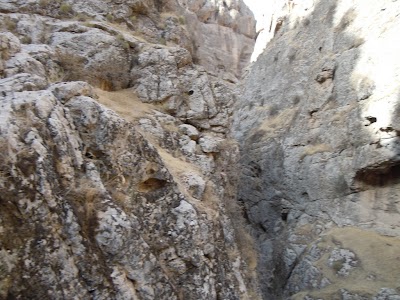 DSCN3961.jpg
