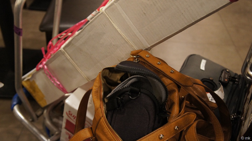 [DSC002697.jpg]