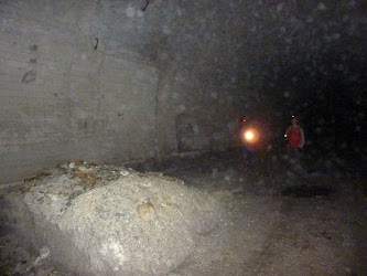 05.JPG