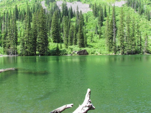 SnyderLakeTrailfromSperryTrailhead-12-2014-07-11-20-34.jpg