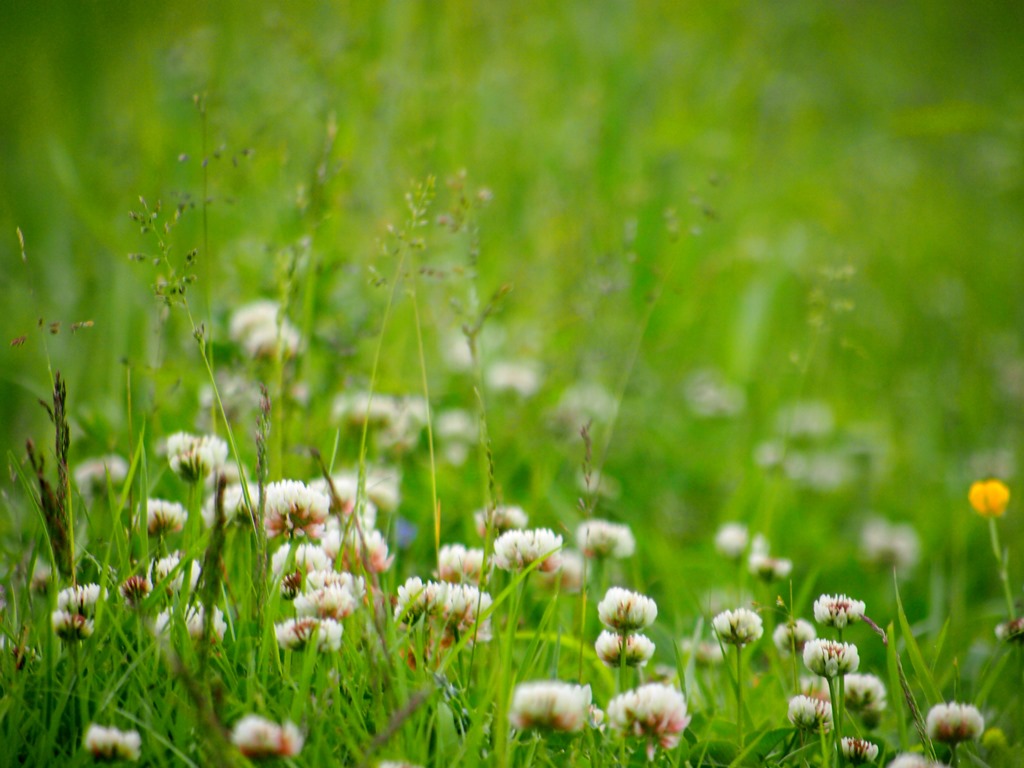 [10%2520July%252014%252002-07-2013%252013-39-07%255B3%255D.jpg]