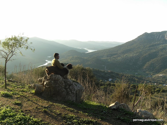 Antonio con varios de sus perros de agua sentado en la "Piedra de la Esperanza" es su finca y disfrutando del entorno natural. Al fondo El Embalse de Los Hurones en El Parque Natural de Los Alcornocales. Antonio con varios de sus perros de agua sentado en la "Piedra de la Esperanza" es su finca y disfrutando del entorno natural. Al fondo El Embalse de Los Hurones en El Parque Natural de Los Alcornocales.