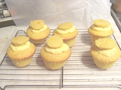 Boston cream pie cupcakes filled w vanilla pudding