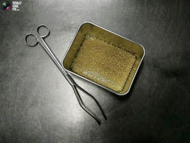 Gold, most beautiful metal in various shapes