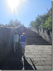 IMG_2664 IMG_2664