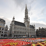 2012 Brussels Flower Carpet