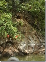 IMGA0335 IMGA0335