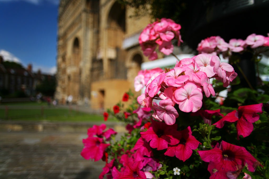 [IMG_1512%255B3%255D.jpg]