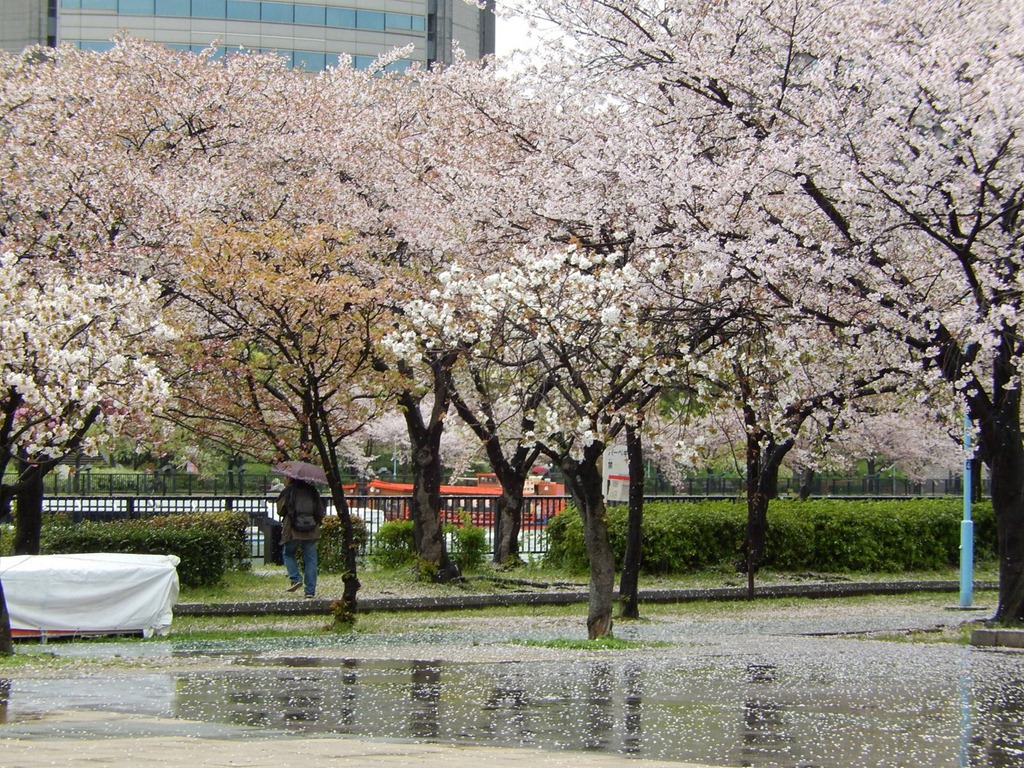 [2013OsakaTrip_Day2_145.jpg]