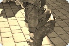 DSC_0678 DSC_0678