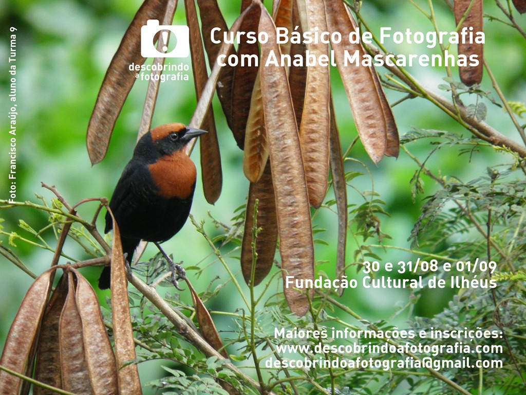 [Cartaz%2520T12%2520Ilh%25C3%25A9us%255B4%255D.jpg]