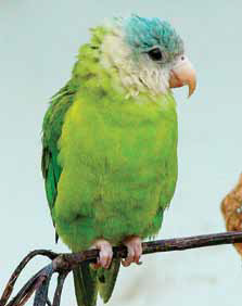 [image7.png]