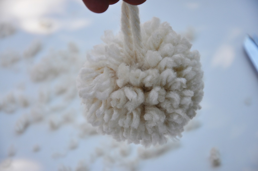 [mondopompompillow0162.jpg]