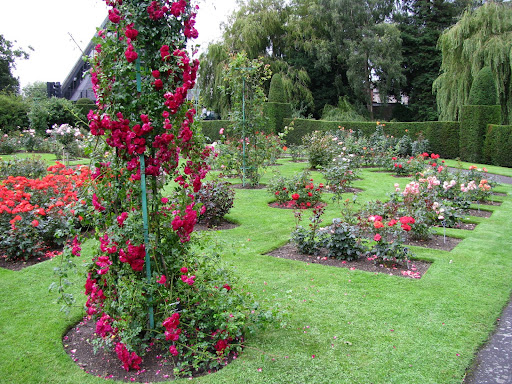Jardines de rosas - Imagui