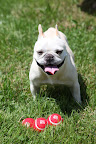 Now that we've done a practice in poise.......for my next trick.......JUGGLING!!!!