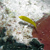 P7044635