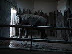 denver_zoo