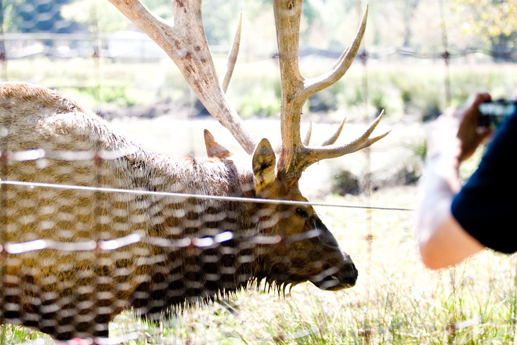 [20120903-IMG_9825-2%255B4%255D.jpg]