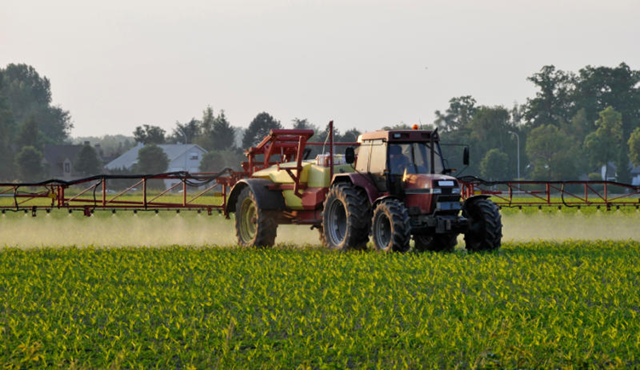 Spraying pesticides on a crop field. Organophosphate pesticides are approved for use in agriculture. Increasing evidence suggests that prenatal exposure to pesticides may have health impacts in later years. iStockphoto
