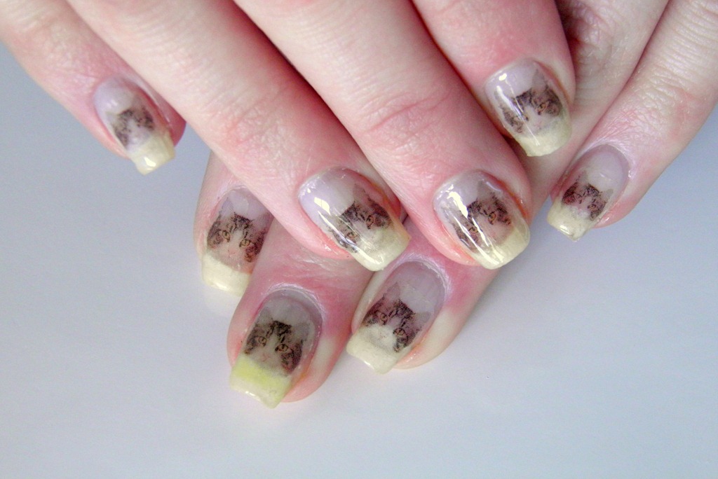 [CAT-NAILS-35.jpg]