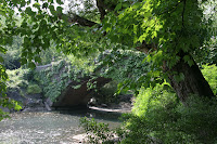 Bridge in Central Park