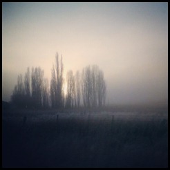 IMG_20120721_100111