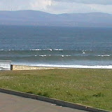 surfing august 20th
