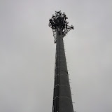 IMG_20120509_115807.jpg