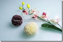 DSC_1433_pompom DSC_1433_pompom
