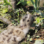 DSCN9534.JPG