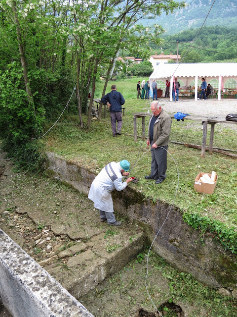 2014-Mlaj-in-kresovanje-48.JPG