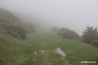 IMG_9251.JPG Photo