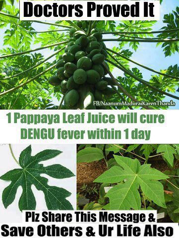 Papaya paper coupons