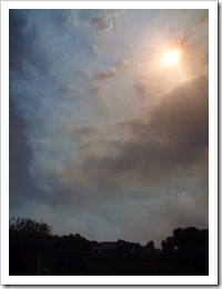 DSCF4151 DSCF4151