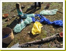 IMG_2563 IMG_2563