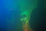 DSC_3137.JPG
