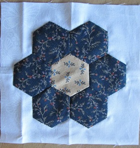 IMG_8239