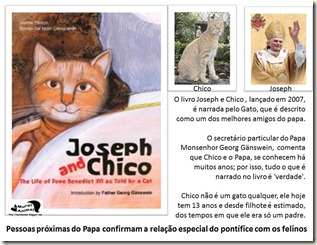 papa_ama_gatos (8) papa_ama_gatos (8)