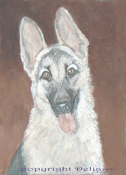 This is Senta, Delia's beloved German shepherd from years ago. This is Senta, Delia's beloved German shepherd from years ago.