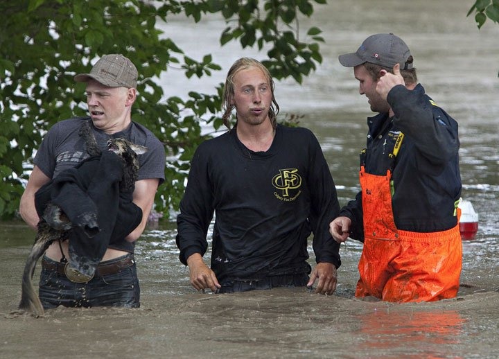 [cat-owner-swim_7%255B3%255D.jpg]