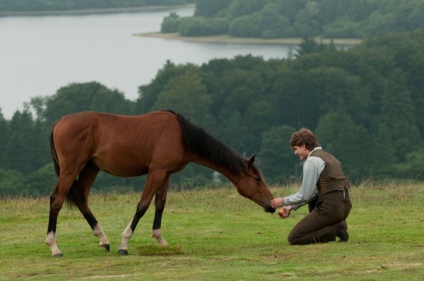 war-horse-movie-image-jeremy-irvine-04-600x398